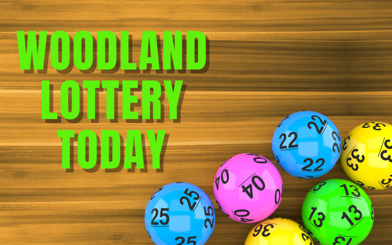 Join the Woodland Lottery Today for a Chance at Amazing Prizes